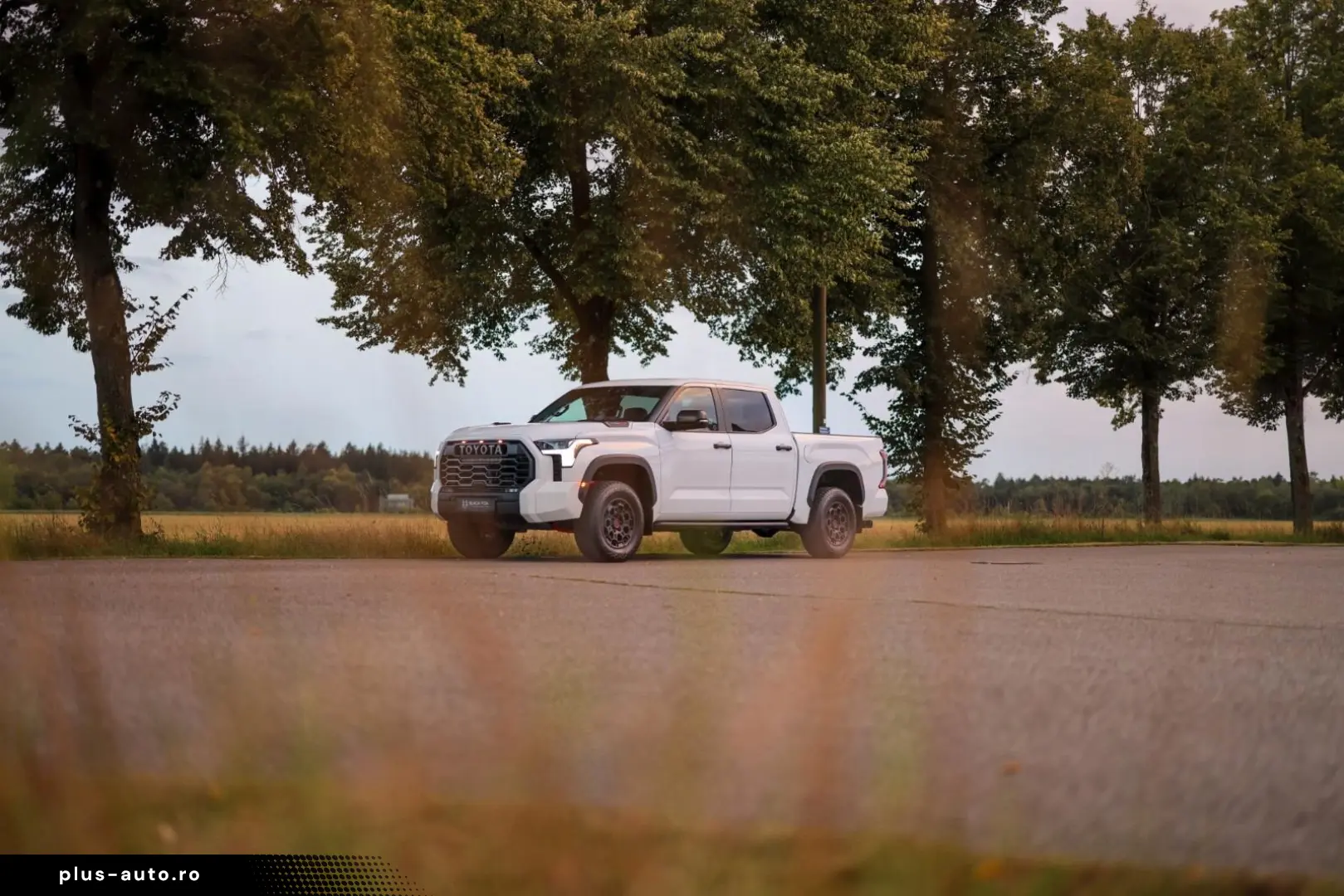 Toyota Tundra Crew Max TRD PRO