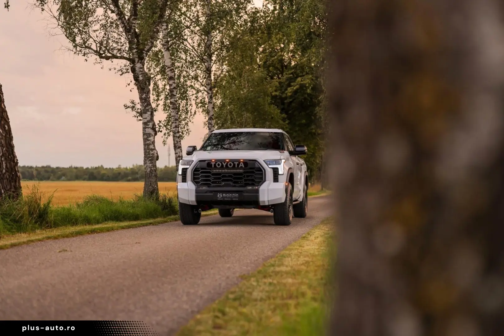 Toyota Tundra Crew Max TRD PRO