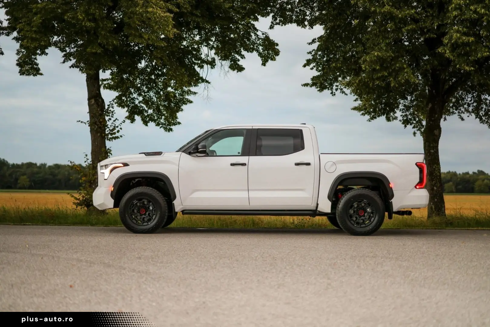 Toyota Tundra Crew Max TRD PRO