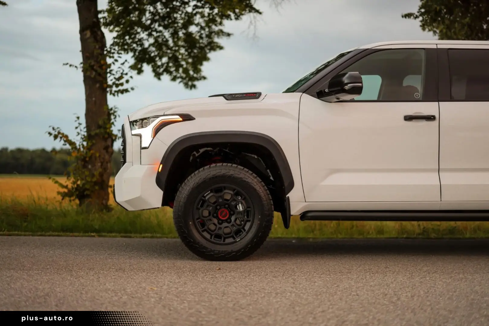 Toyota Tundra Crew Max TRD PRO