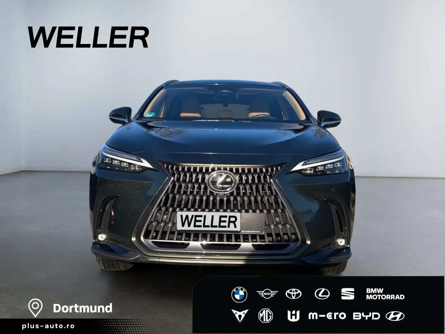 LEXUS NX 350h E-FOUR Luxury Line  Matrix HUD Leder CAM