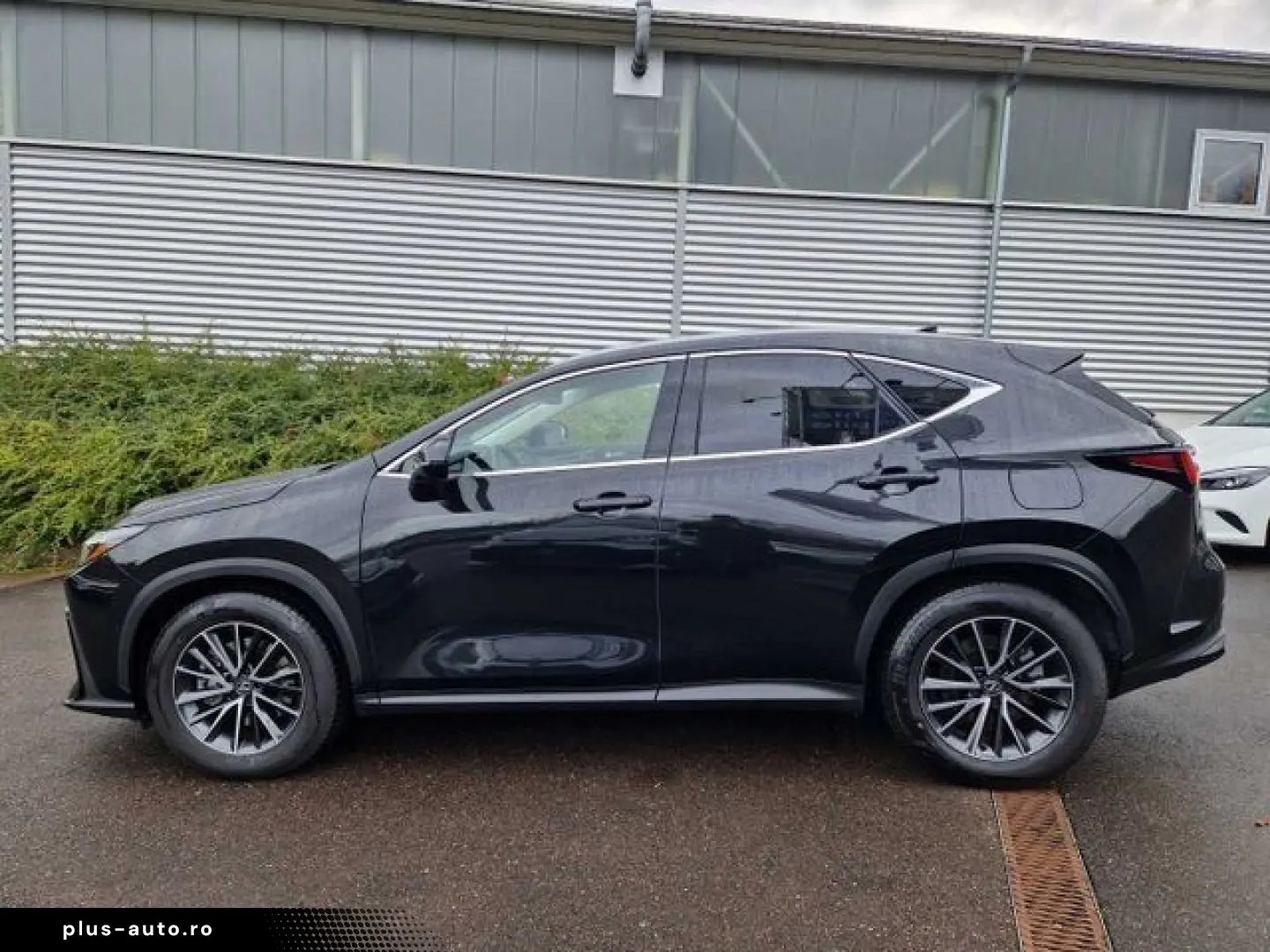 LEXUS NX 450h  E-FOUR Executive Line HUD Leder Navi 36