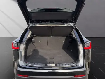 LEXUS NX 350h E-FOUR INTERIEUR- & TECHNIK-PAKET PANO