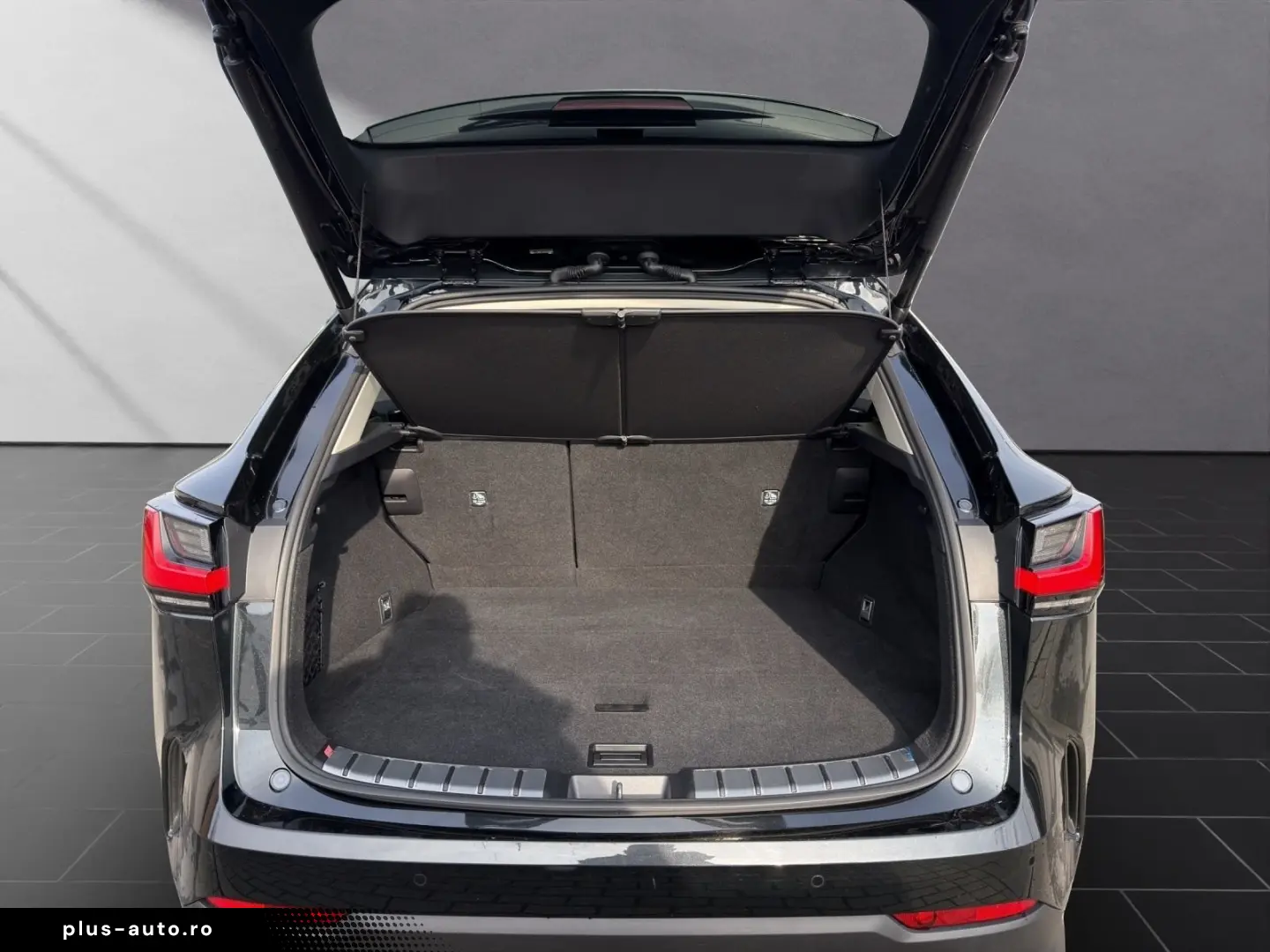 LEXUS NX 350h E-FOUR INTERIEUR- & TECHNIK-PAKET PANO