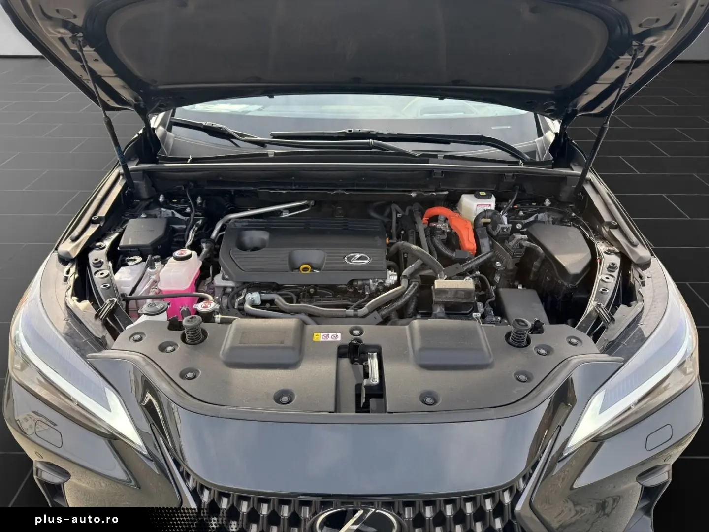 LEXUS NX 350h E-FOUR INTERIEUR- & TECHNIK-PAKET PANO