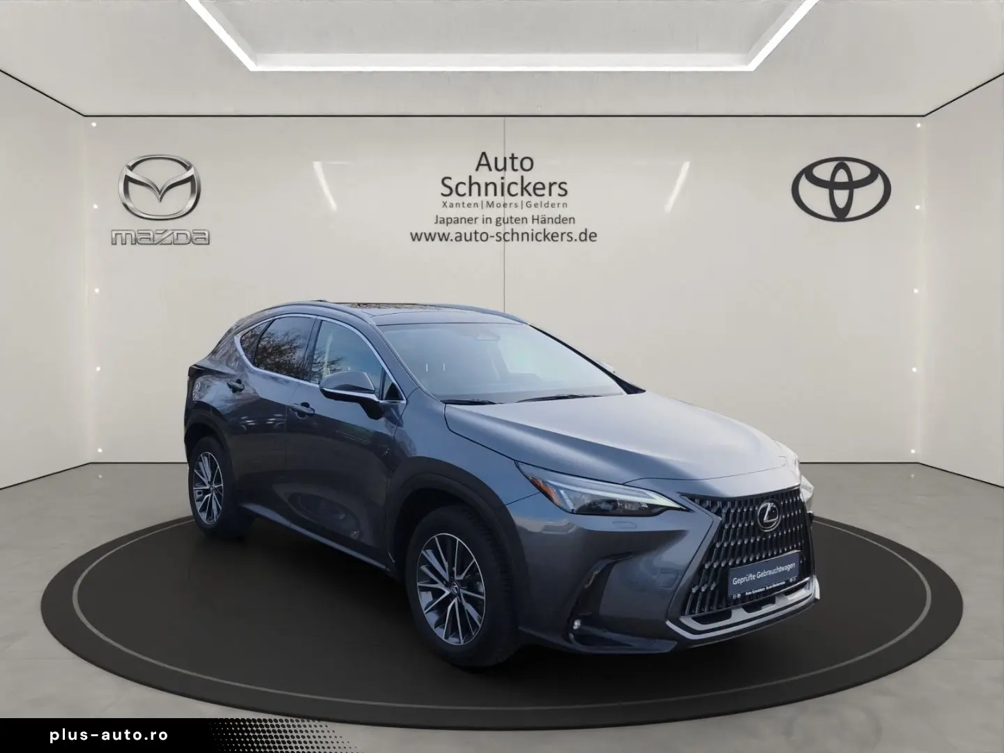 LEXUS NX 350h Executive Line GJ-RÄDER !!