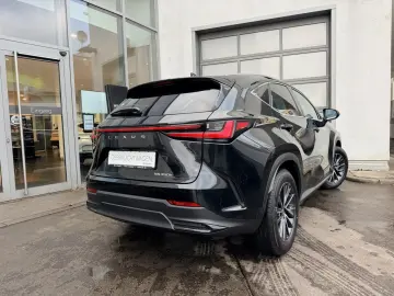 LEXUS NX 350h FWD 2 5 HEV Executive Line   Leder   Hea
