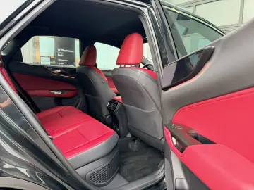 LEXUS NX 350h FWD 2 5 HEV Executive Line   Leder   Hea