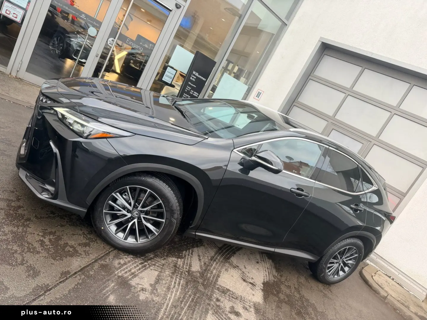 LEXUS NX 350h FWD 2 5 HEV Executive Line   Leder   Hea