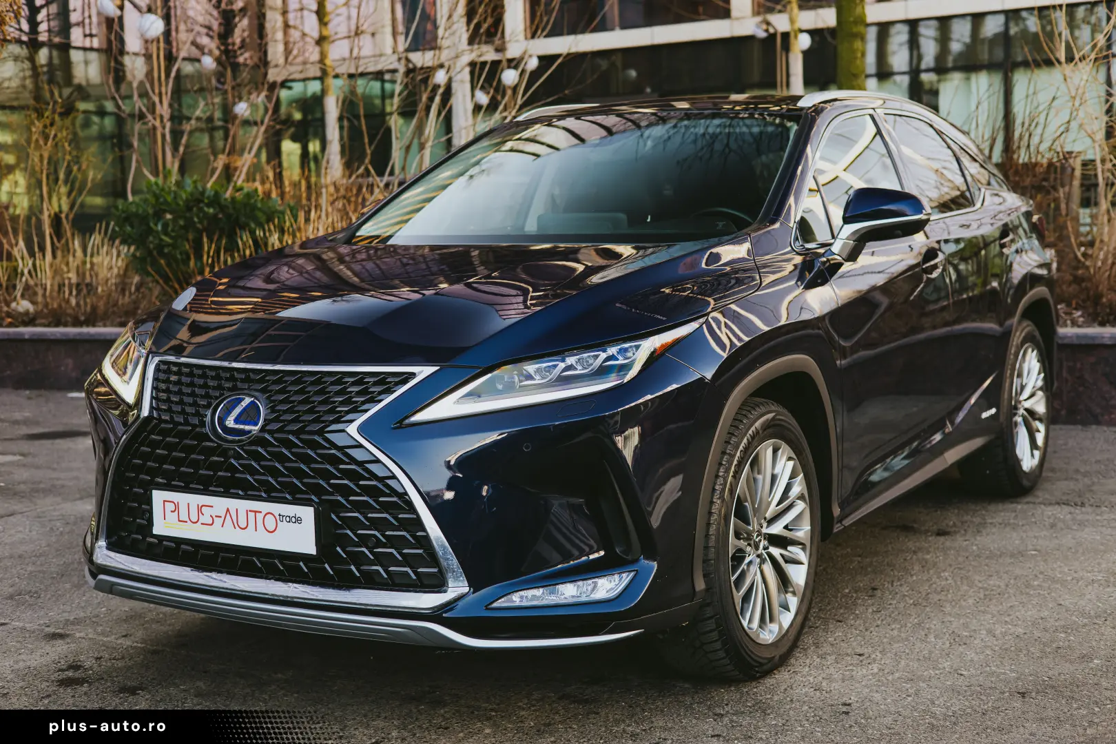 Lexus RX450h Luxury Line