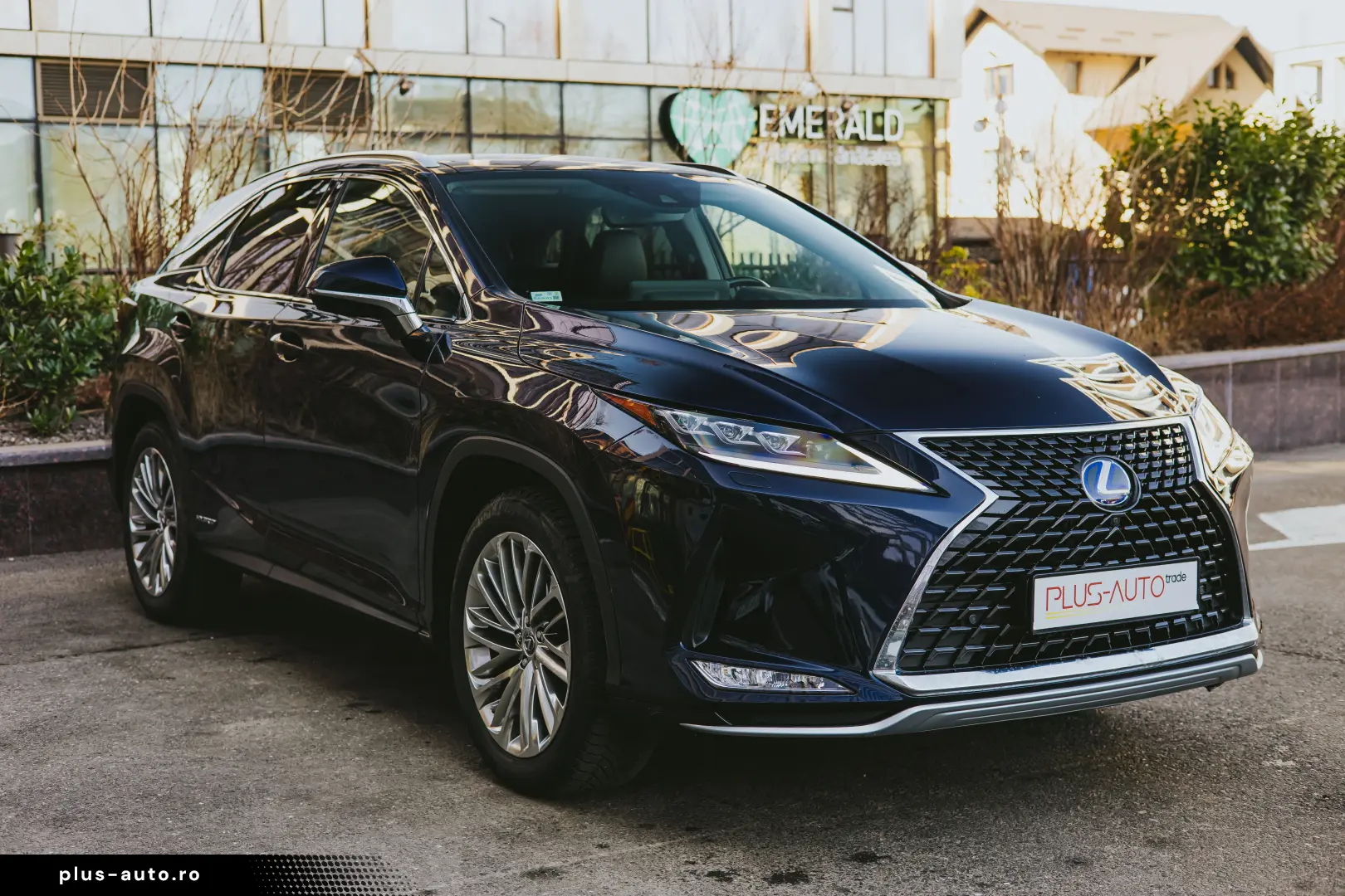 Lexus RX450h Luxury Line