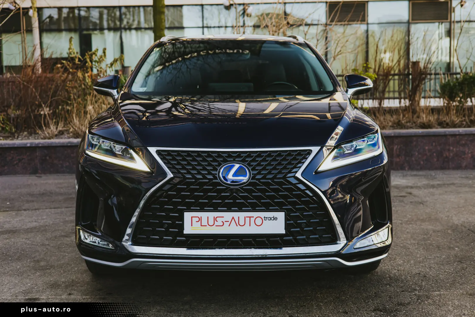 Lexus RX450h Luxury Line