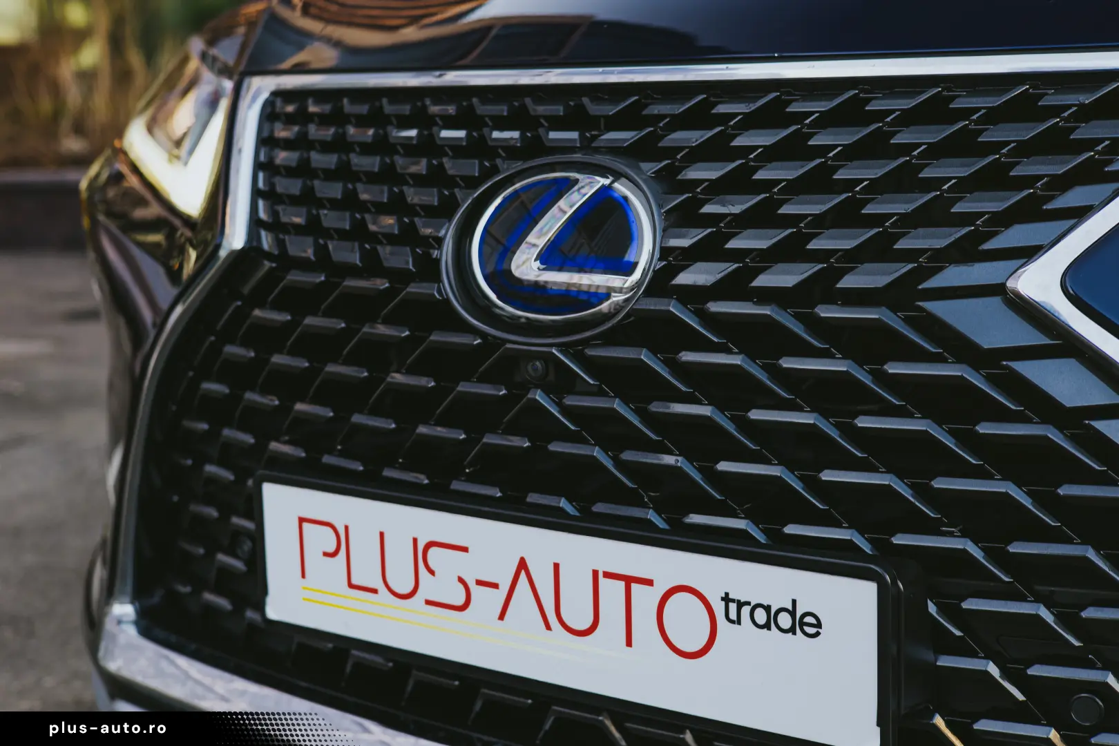 Lexus RX450h Luxury Line