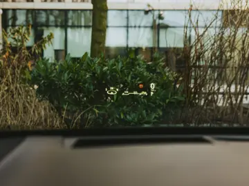 Lexus RX450h Luxury Line