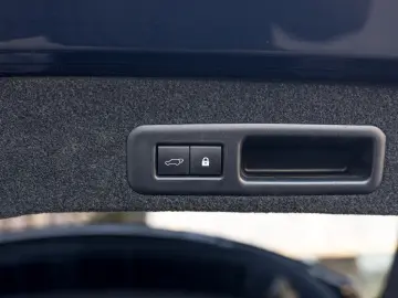 Lexus RX450h Luxury Line