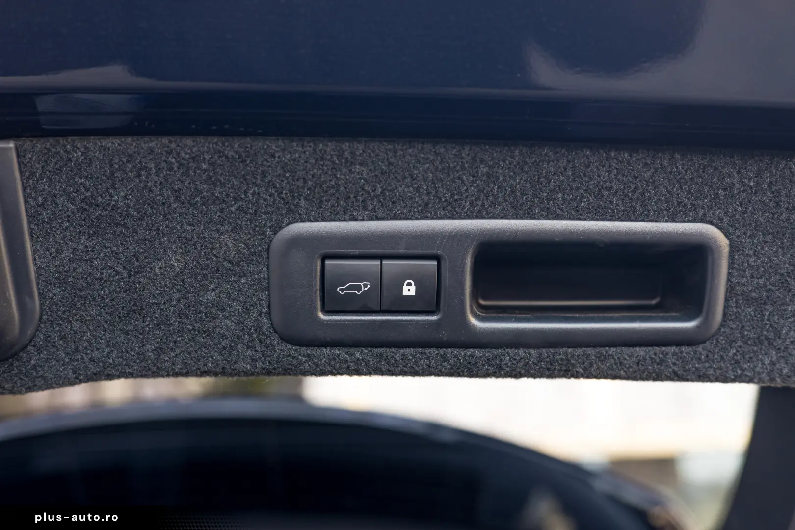 Lexus RX450h Luxury Line