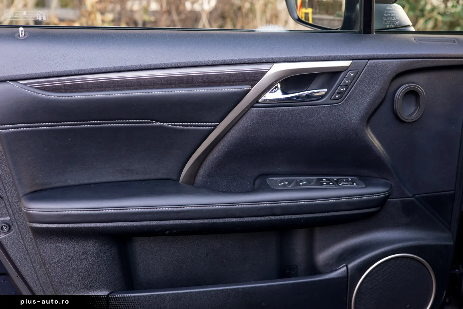 Lexus RX450h Luxury Line