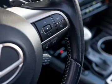 Lexus RX450h Luxury Line