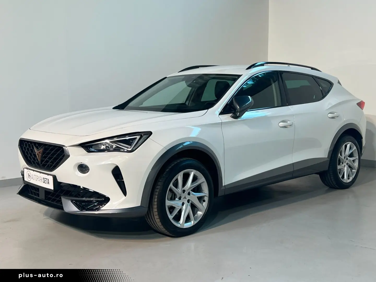 CUPRA Formentor 1.5 TSI DSG NAVI LED PDC KESSY