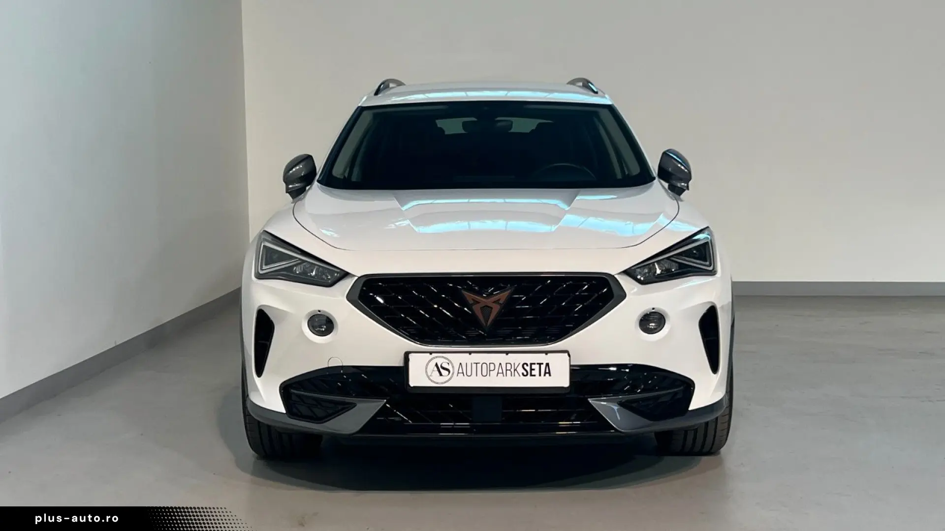 CUPRA Formentor 1.5 TSI DSG NAVI LED PDC KESSY