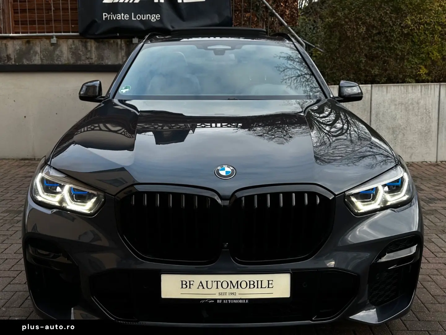 BMW X5 xDr30d M Sport PANO 2Achs AHK Laser HiFi 360