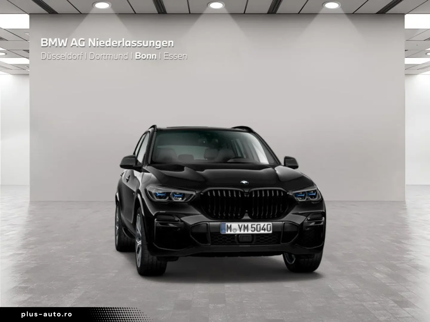 BMW X5 xDrive30d M Sport Standheizung Harman K