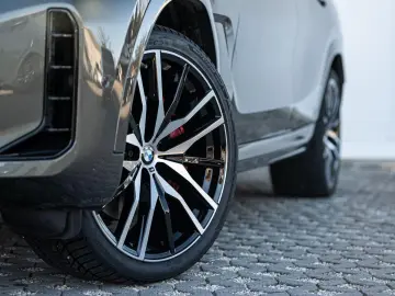 BMW X6 xDrive30d M-SportPRO 22 PANO AdLED KoZg Iconi