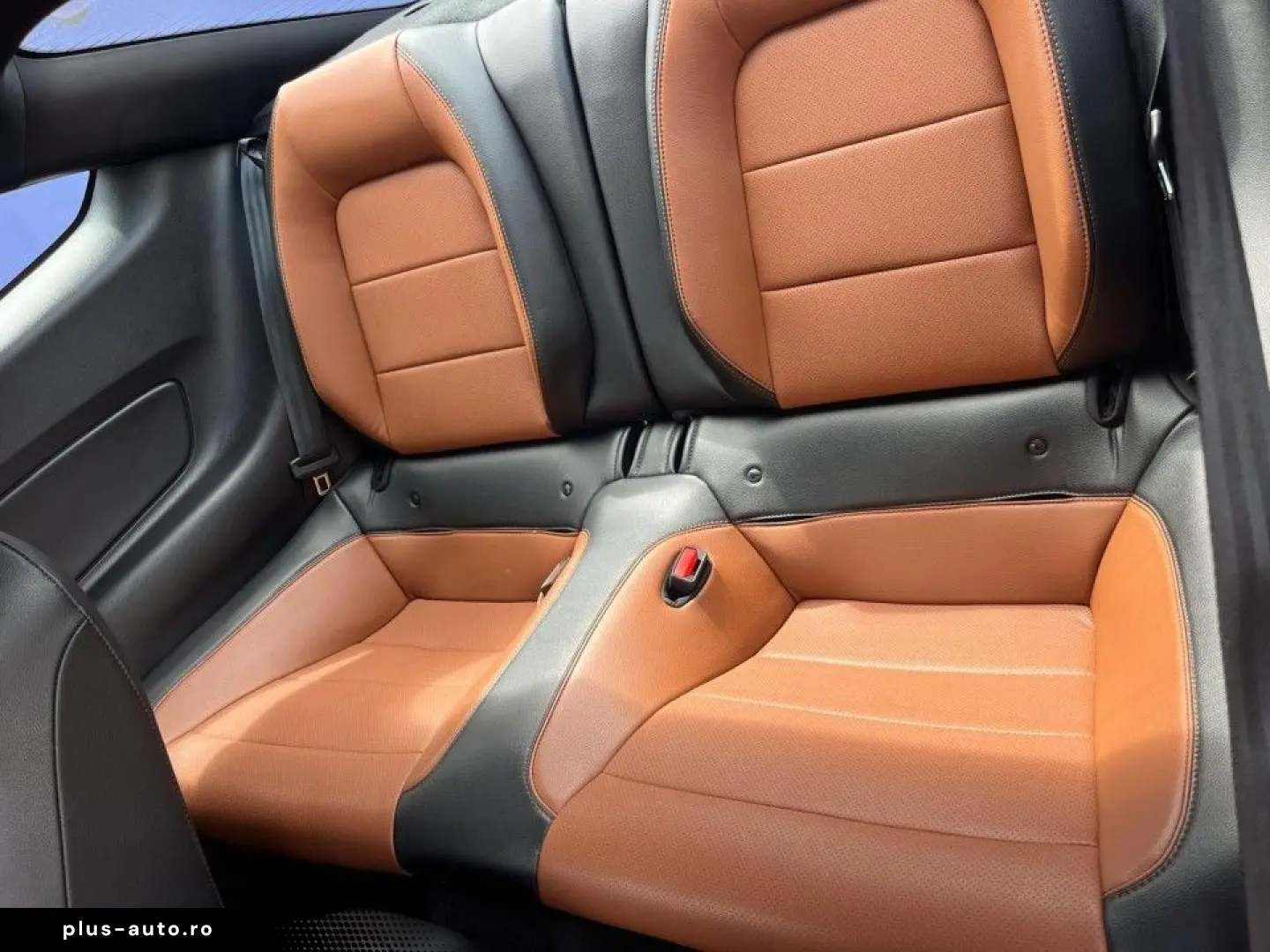 Ford Mustang 2022 - via workleto.com