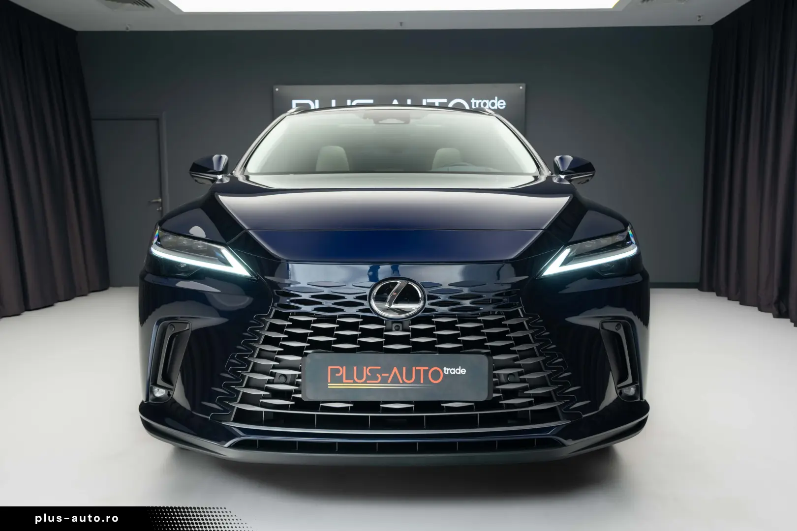 Lexus RX 450h  Luxury PANO. -MARK LEV -360 CAM