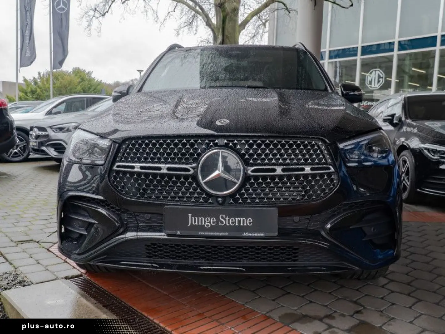 MERCEDES-BENZ GLE 450 d 4M AMG-Sport Pano Burm AHK Sitzklima