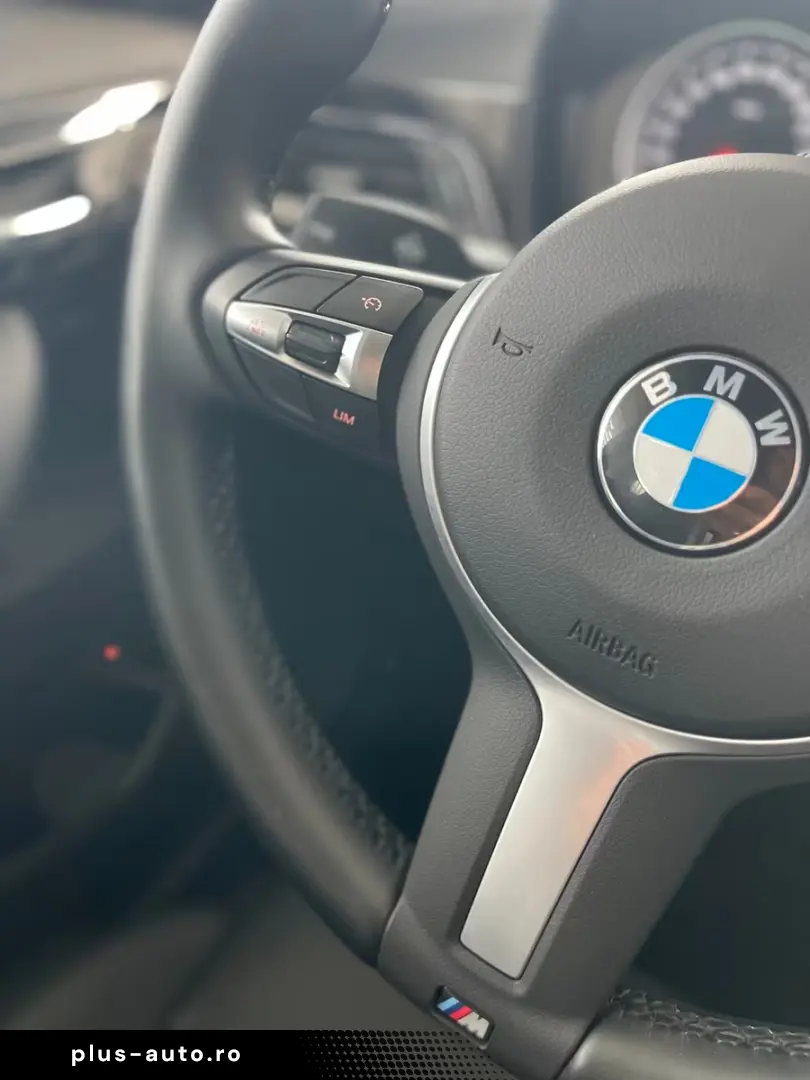 BMW X1 xD25e Sport Line PANORAMA