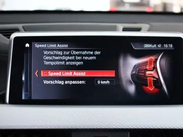 BMW X1 xDrive25e M Sport (F48)  LED ACC Kamera Leder