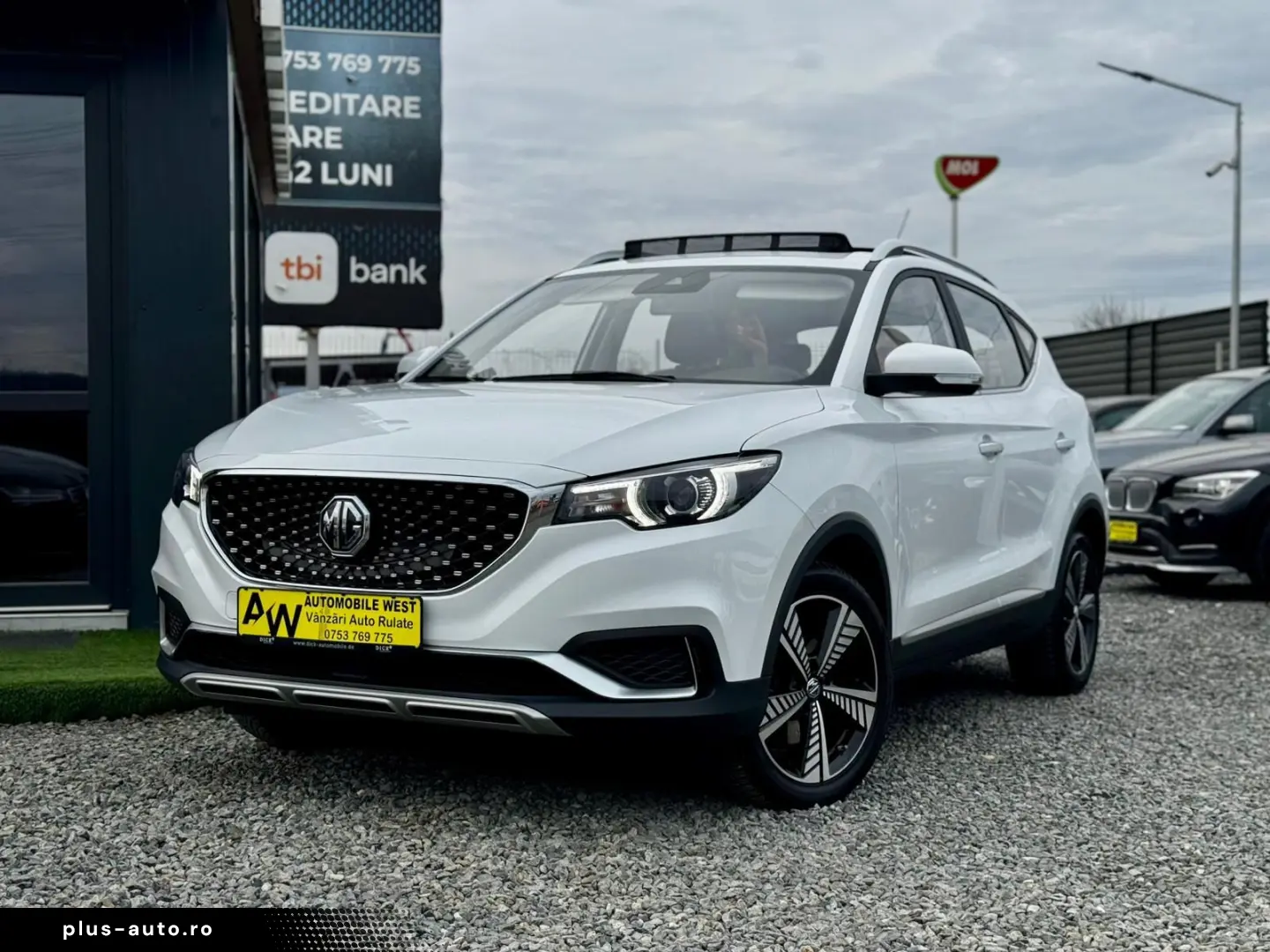 Mg Zs-Ev