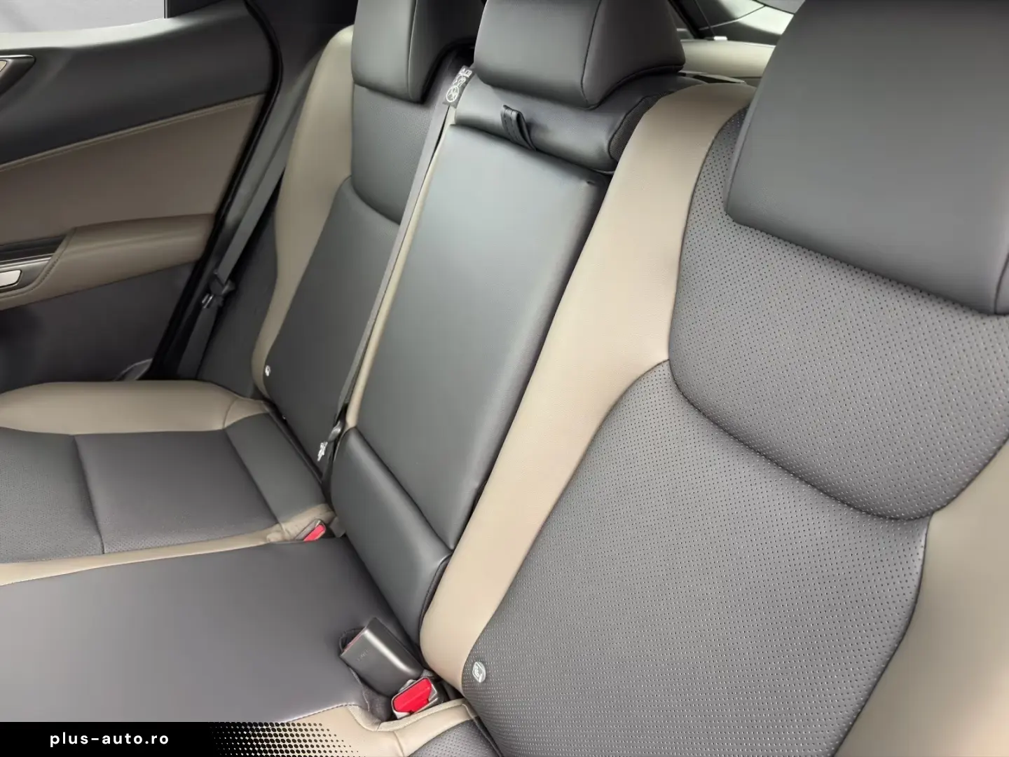 Lexus NX 450h  Overtrail