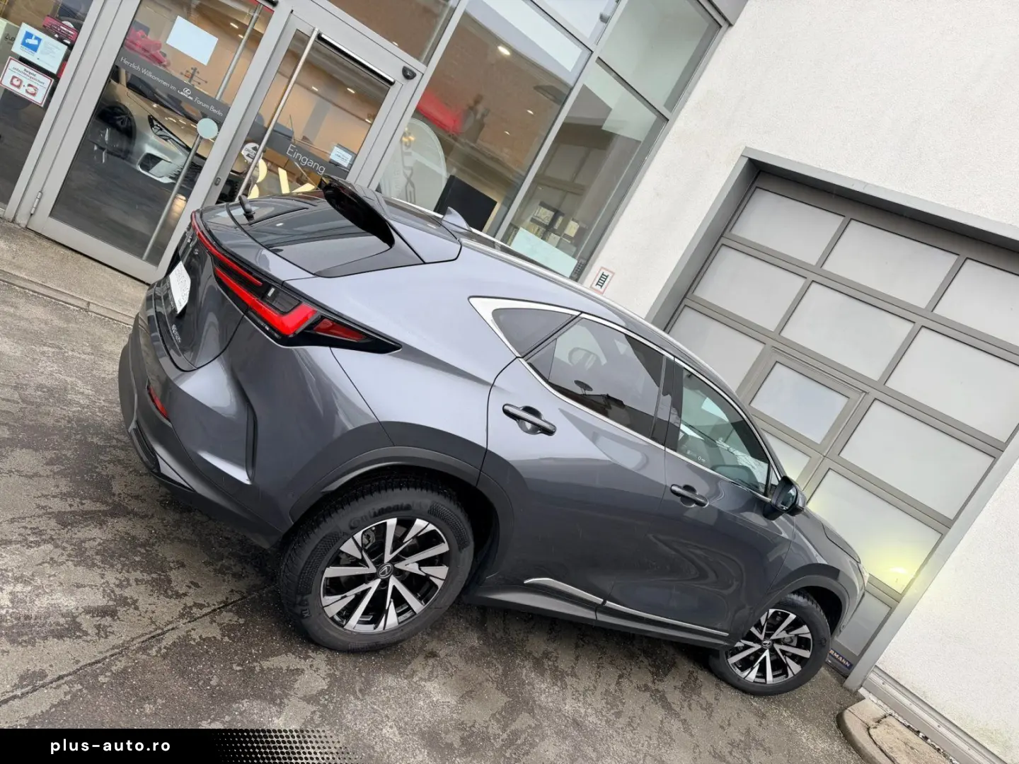 LEXUS NX 350h E-Four Luxury Line   Panoramadach   Wint