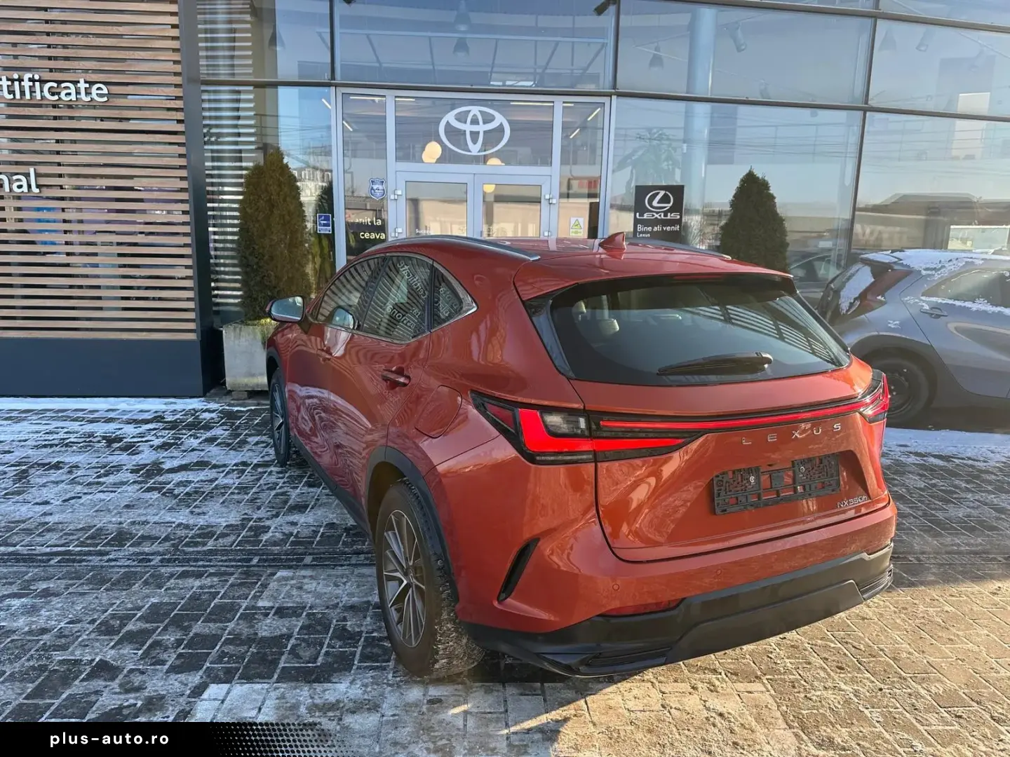 Lexus Serianx Gen-Ii-2021