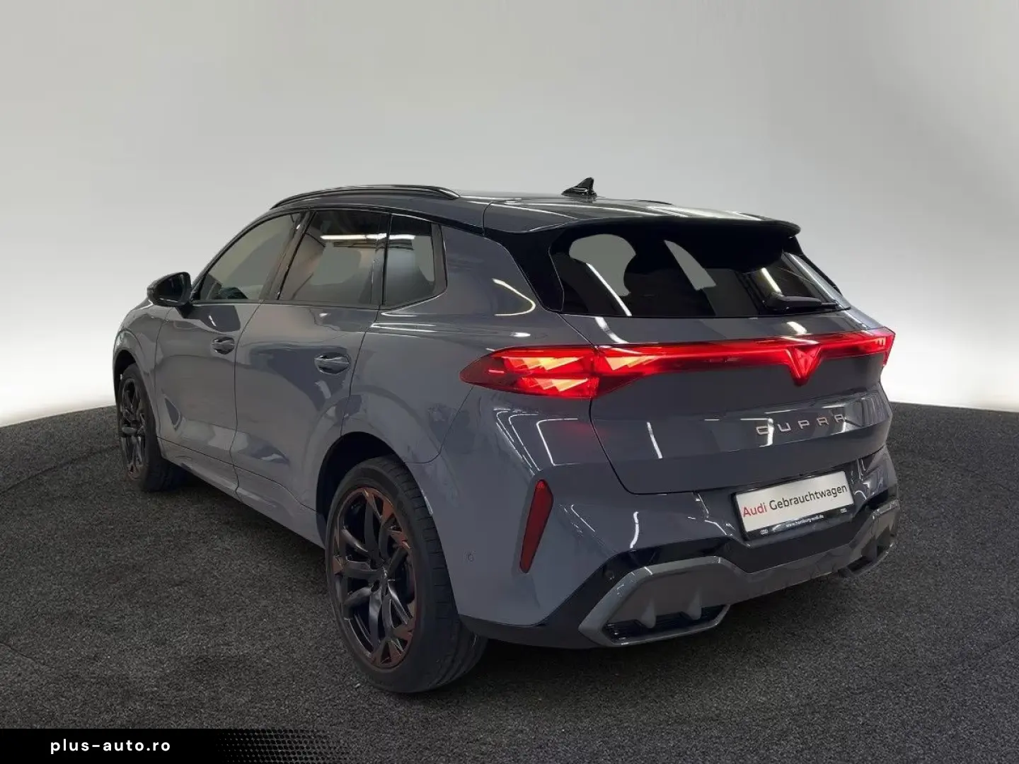 Cupra Terramar VZ 2.0 TSI 4Drive DSG Pano Matrix