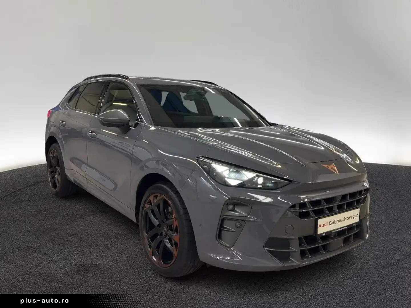 Cupra Terramar VZ 2.0 TSI 4Drive DSG Pano Matrix