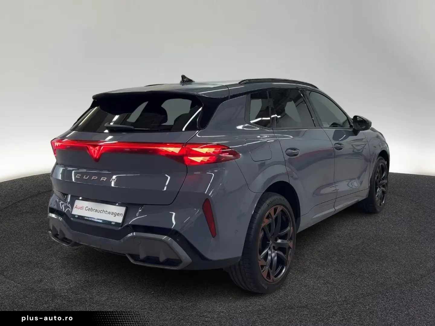 Cupra Terramar VZ 2.0 TSI 4Drive DSG Pano Matrix