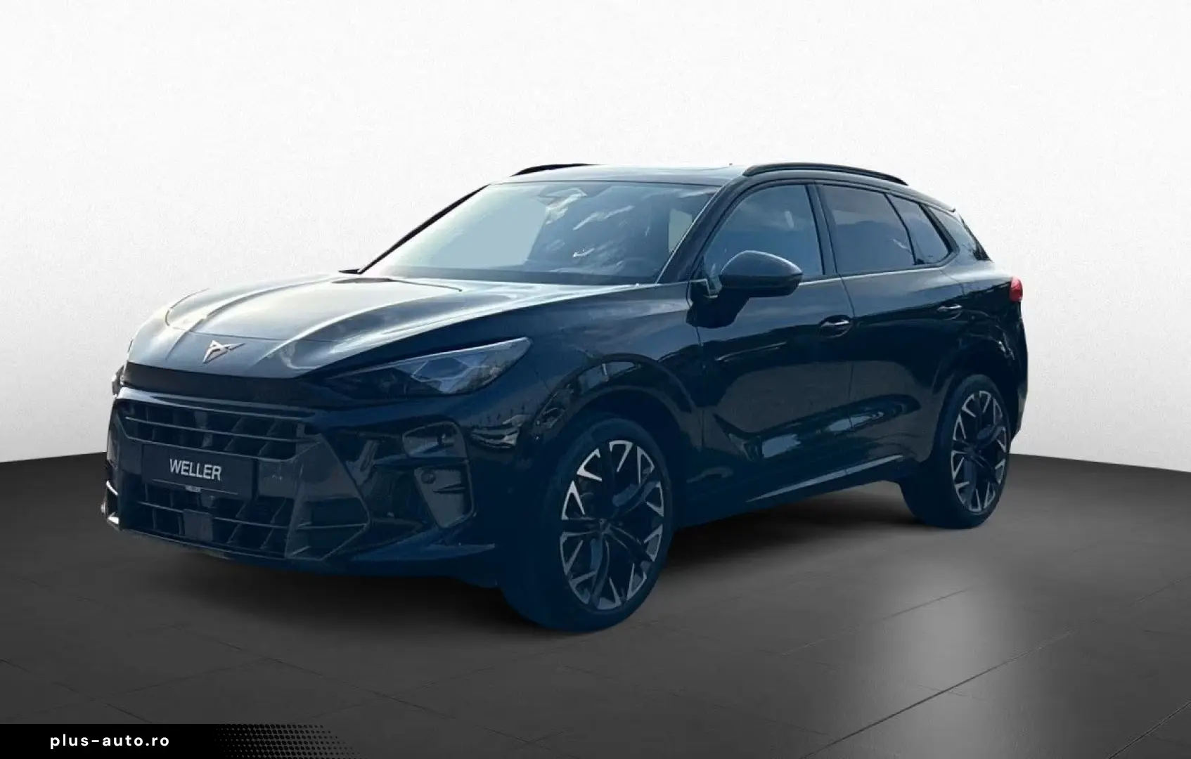 Cupra Terramar 2.0 TSI 4Dr DSG VZ AHK Pano HUD Marix