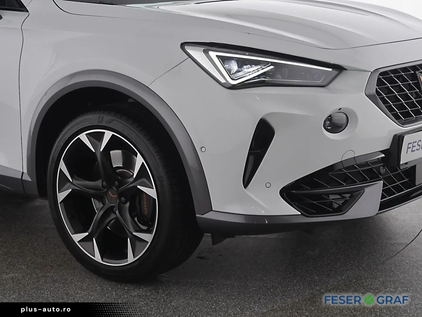 CUPRA Formentor VZ 2.0TSI 4x4 AHK Leder LED PanoramaSc