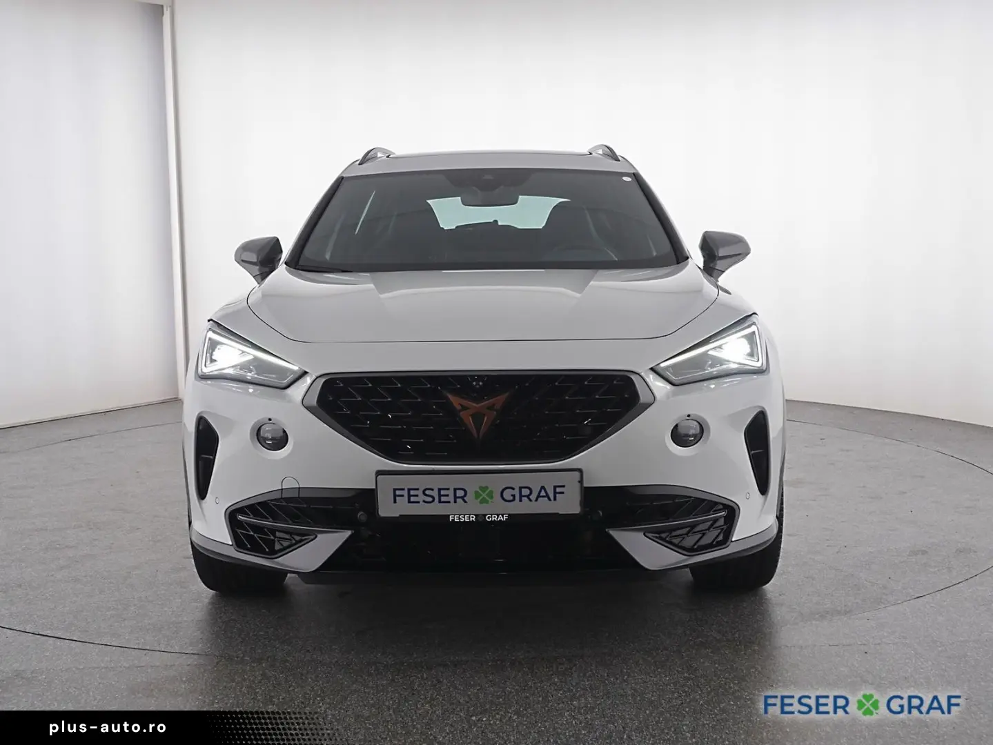 CUPRA Formentor VZ 2.0TSI 4x4 AHK Leder LED PanoramaSc