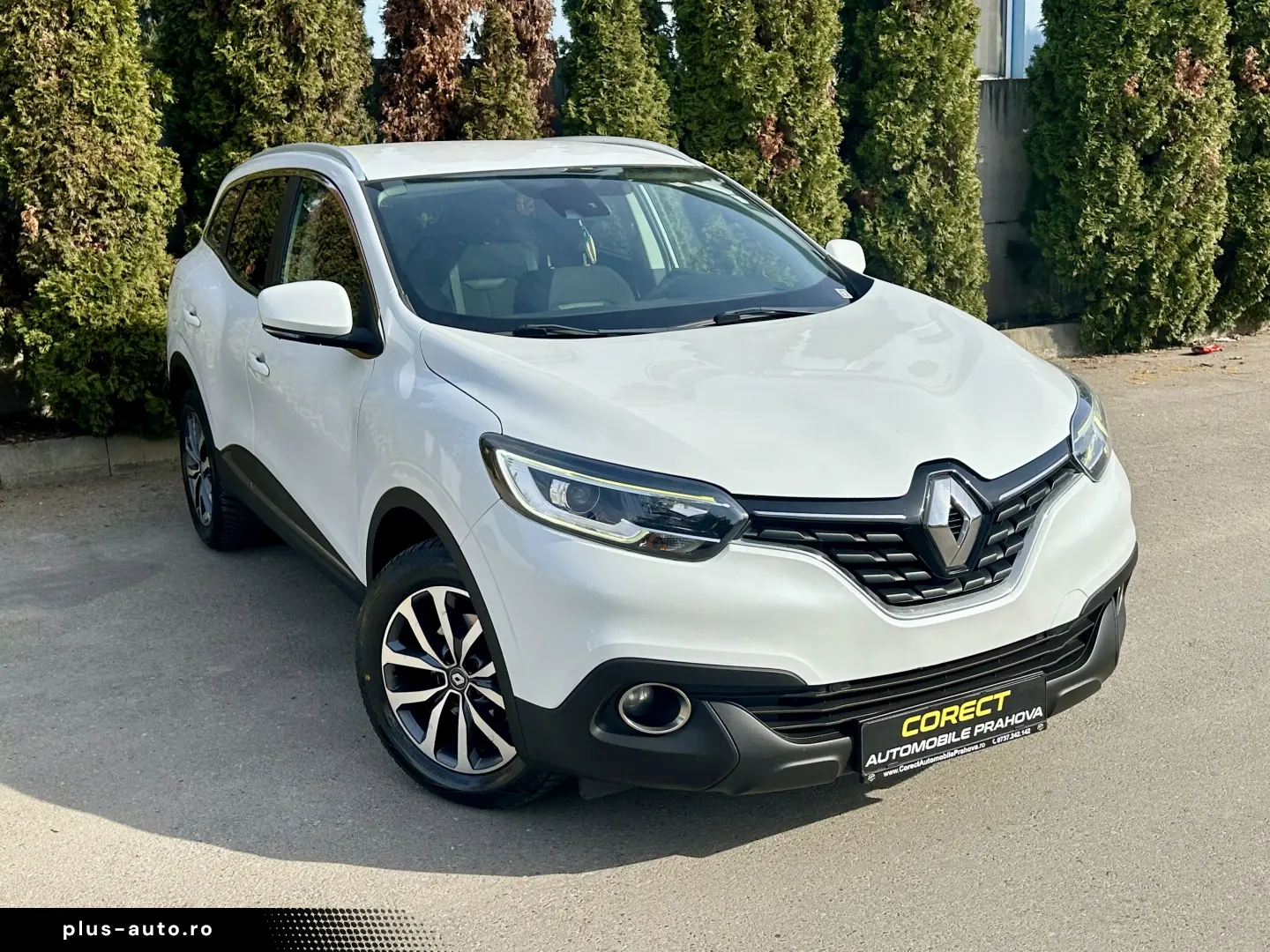 Renault Kadjar Dubluclimatronic Navigatie  Rate Garantie