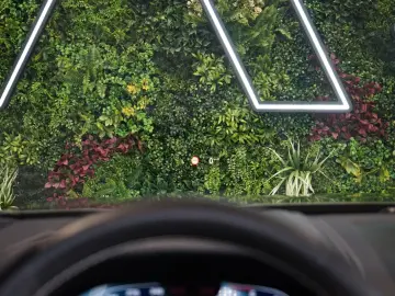 ALPINA B8 GC PPF B&W 360 INDIVIDUAL LASER