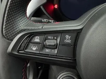 ALFA ROMEO Giulia 2.0 Competizione Q4 Turbo Panoramadach