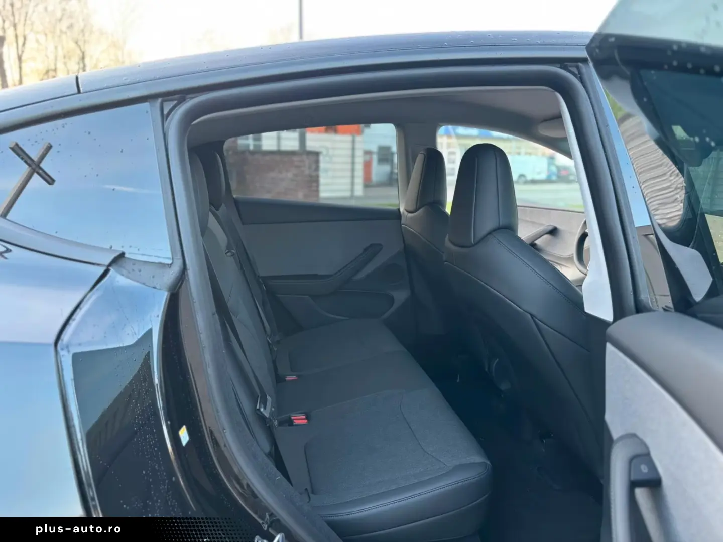 Tesla Model Y Standard RWD