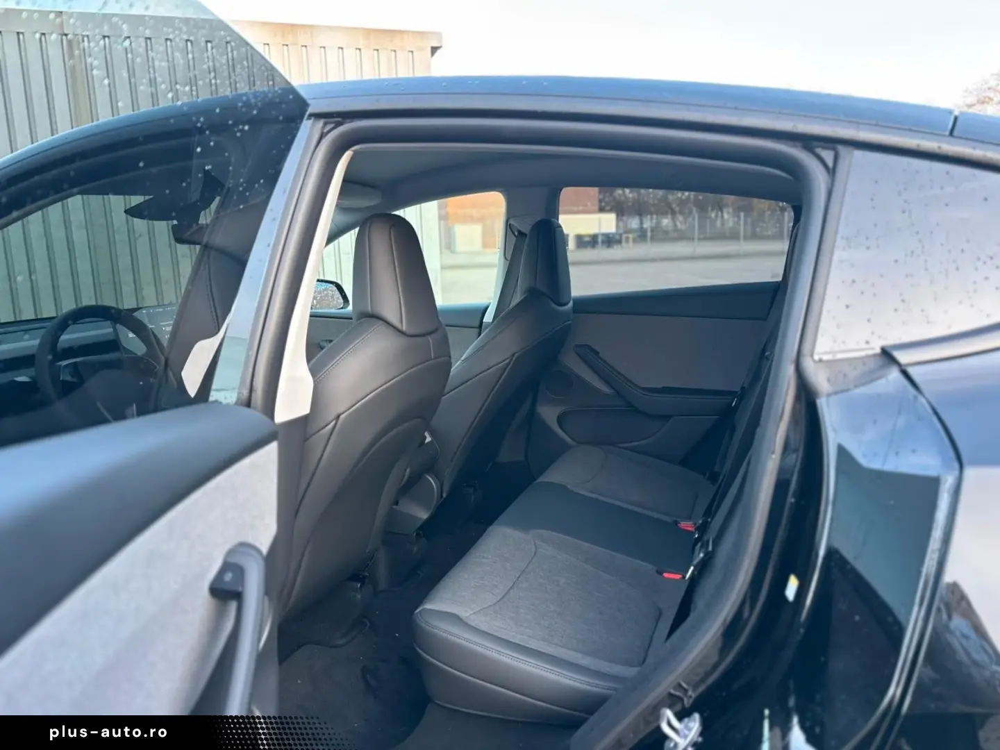 Tesla Model Y Standard RWD