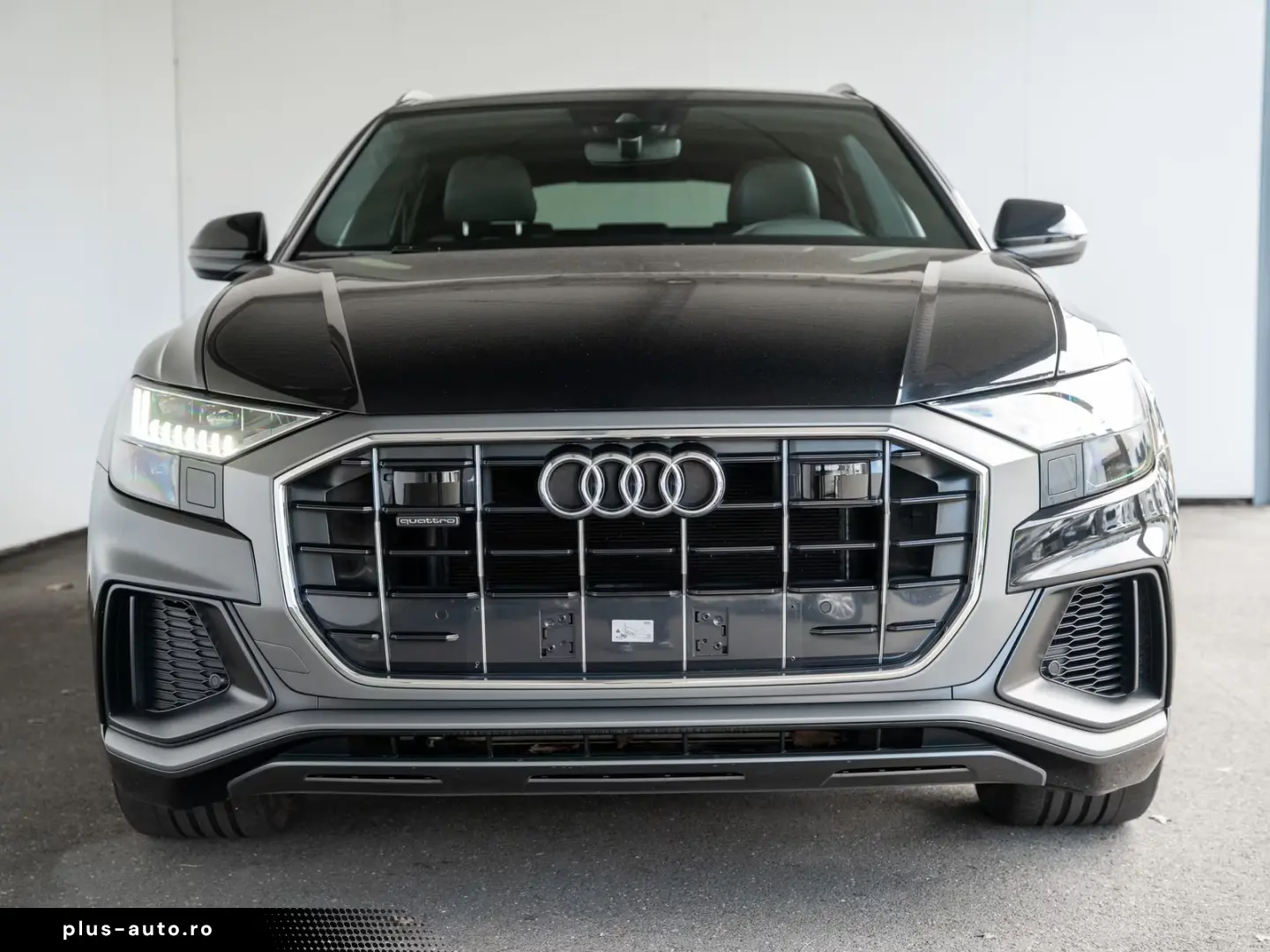 Audi Q8 50 TDI quattro S-line Luft Pano ACC