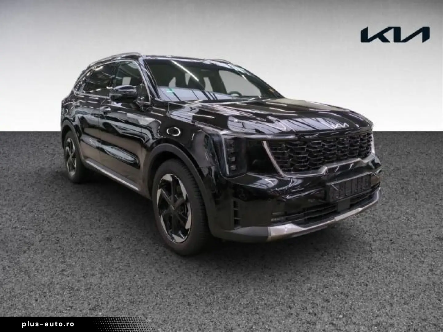 KIA Sorento 1.6 T-GDI Hybrid 4WD Platinum