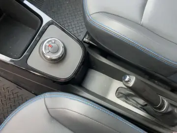 DACIA Spring Business Klima Navi Automatik Rückfahrkam